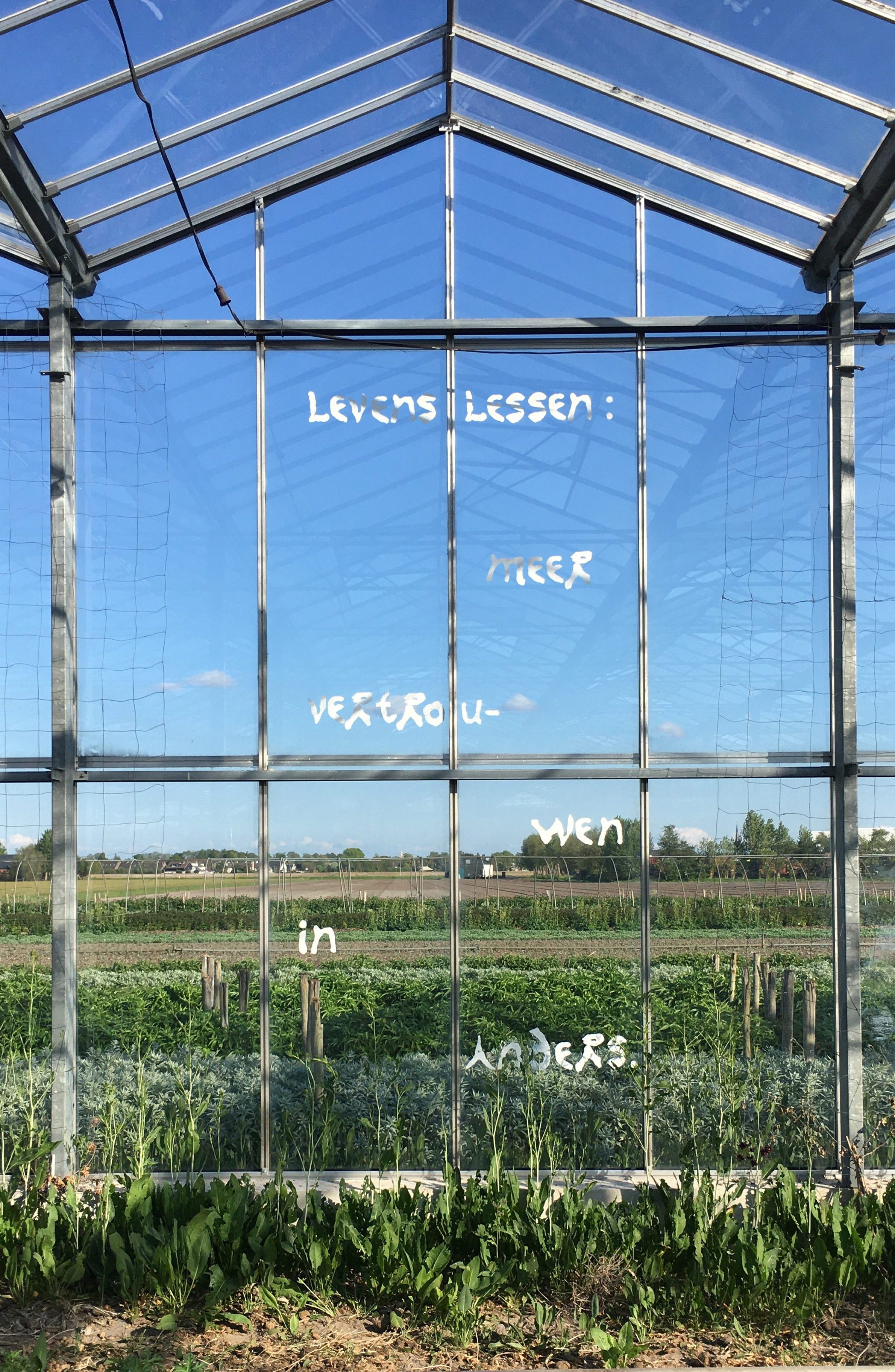 A mural I made for the group exhibition "Het Broeikaseffect" / "The Greenhouse Effect". The poem is created through textual cut-up and the organic letter shapes are made with leftover mandarin peels and applied with a brush, stencil, chalk and water. 2020.